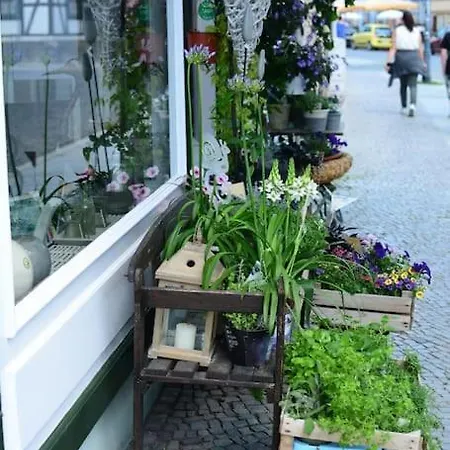 Schoene Mit Zwei Schlafzimmern * Quedlinburg